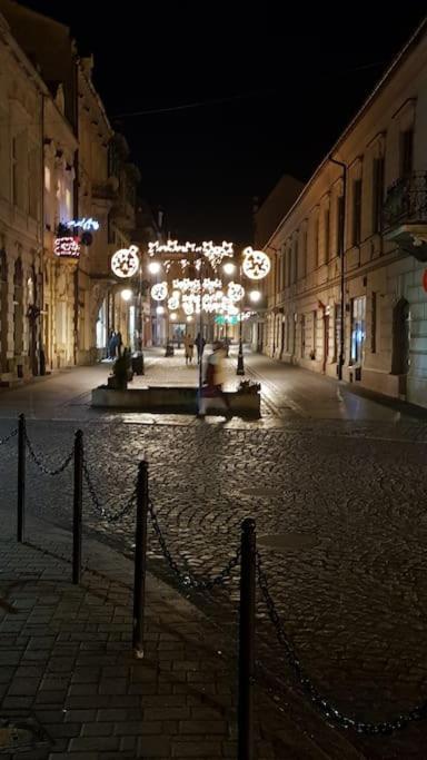 Komfortowy Apartament W Centrum Nowego Sacza Nowy Sącz Dış mekan fotoğraf